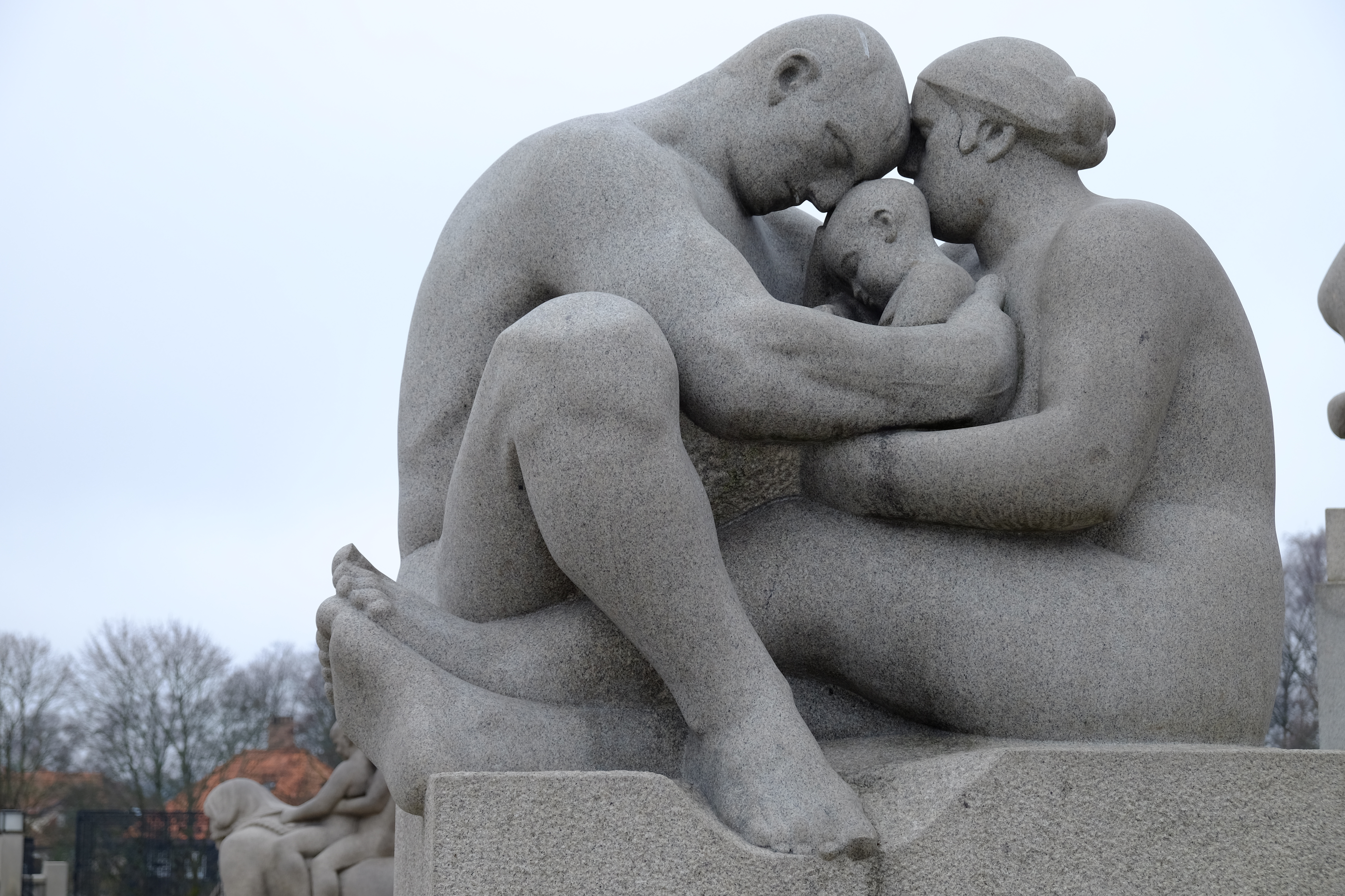 immagine protetta