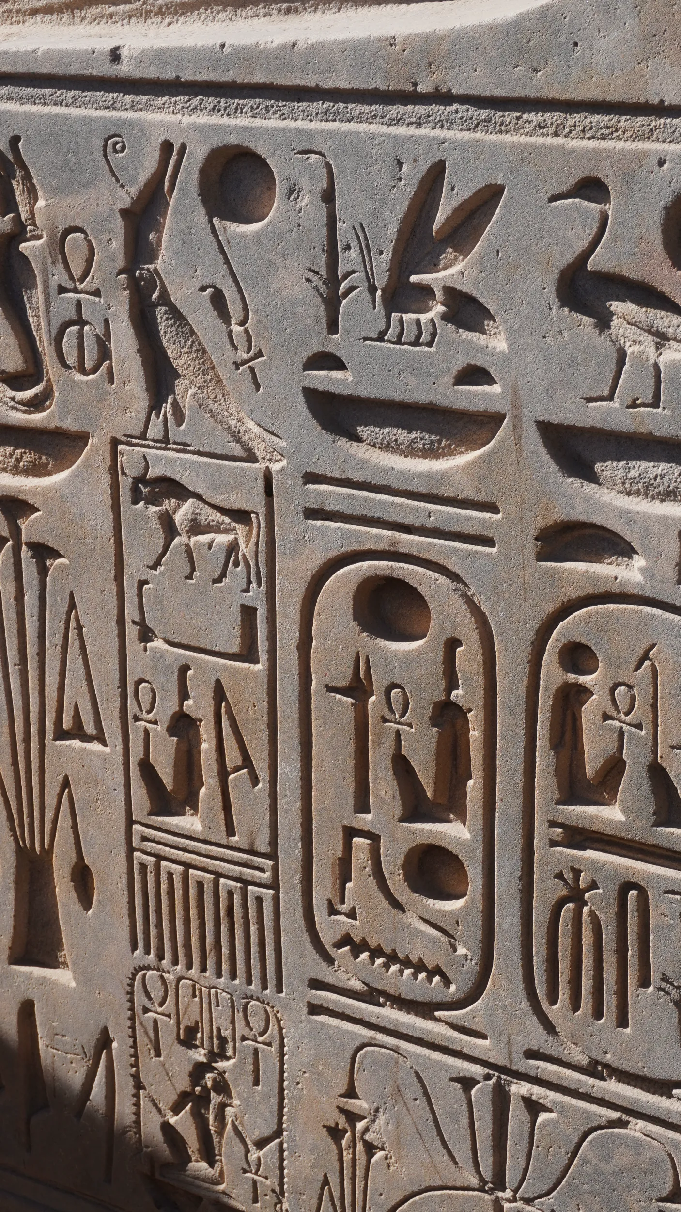Foto Sakkara
