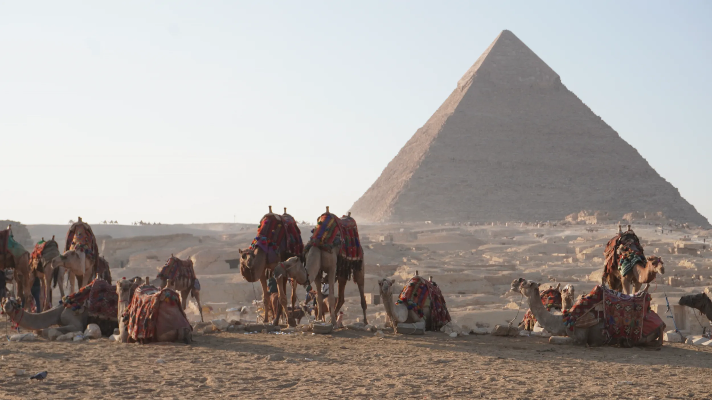 Le piramidi di Giza