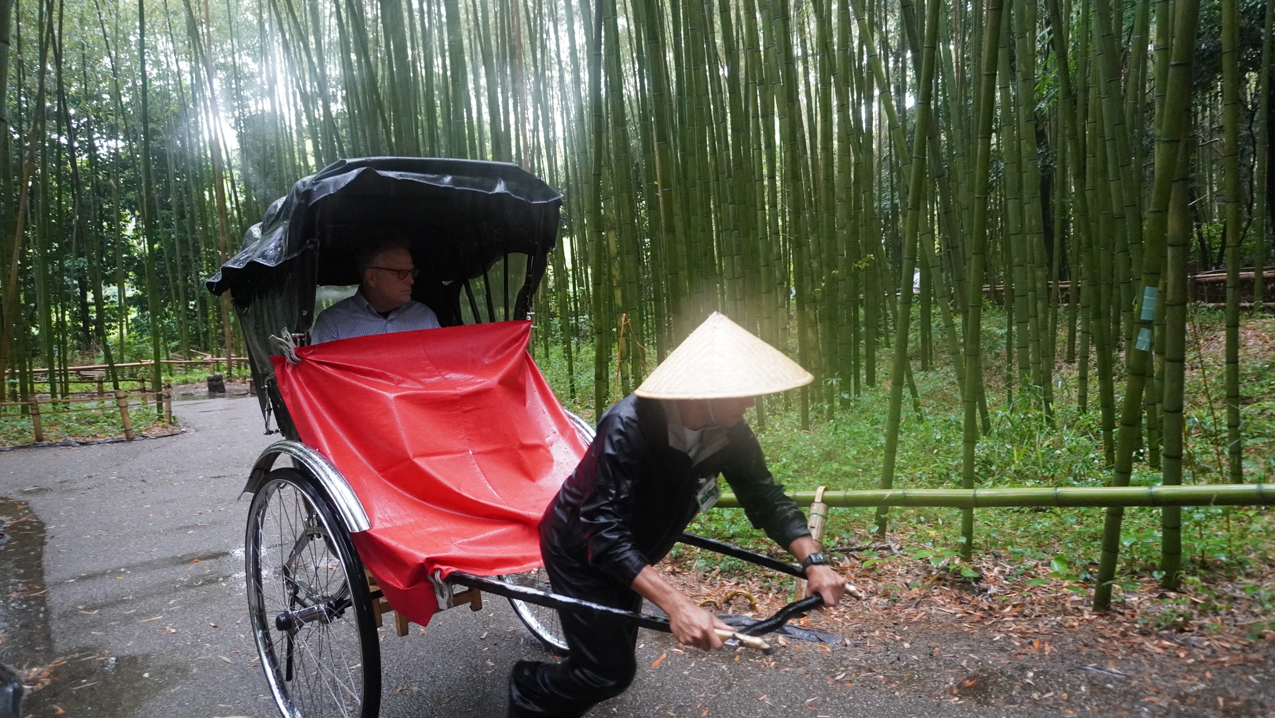 Foto Arashiyama