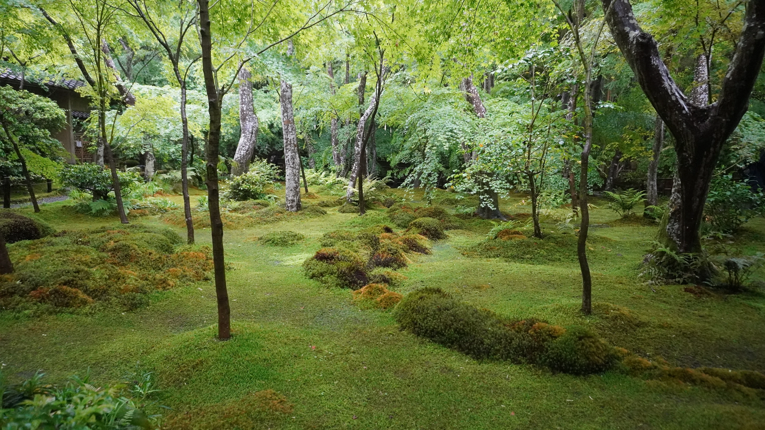Foto Arashiyama