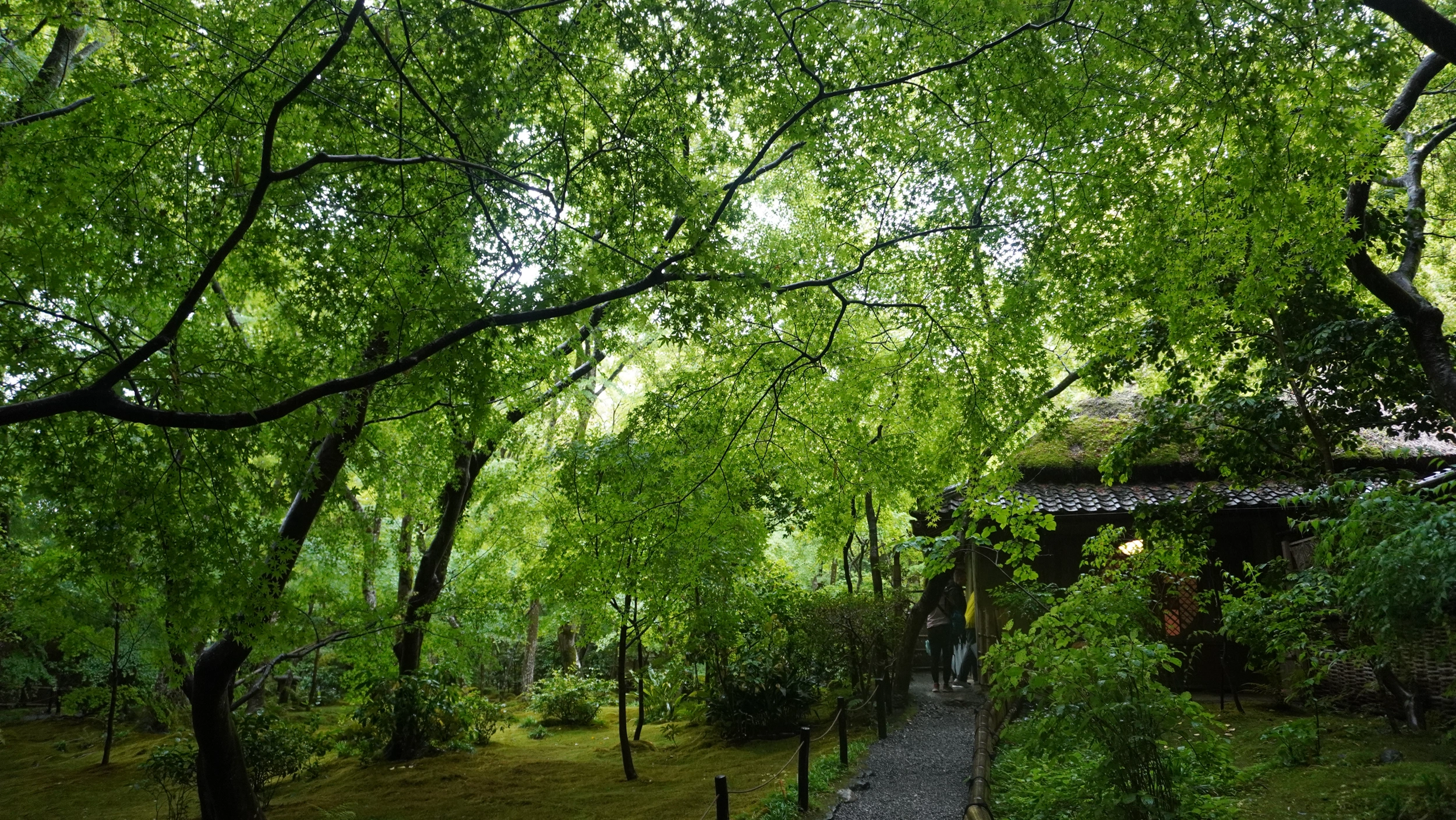 Foto Arashiyama