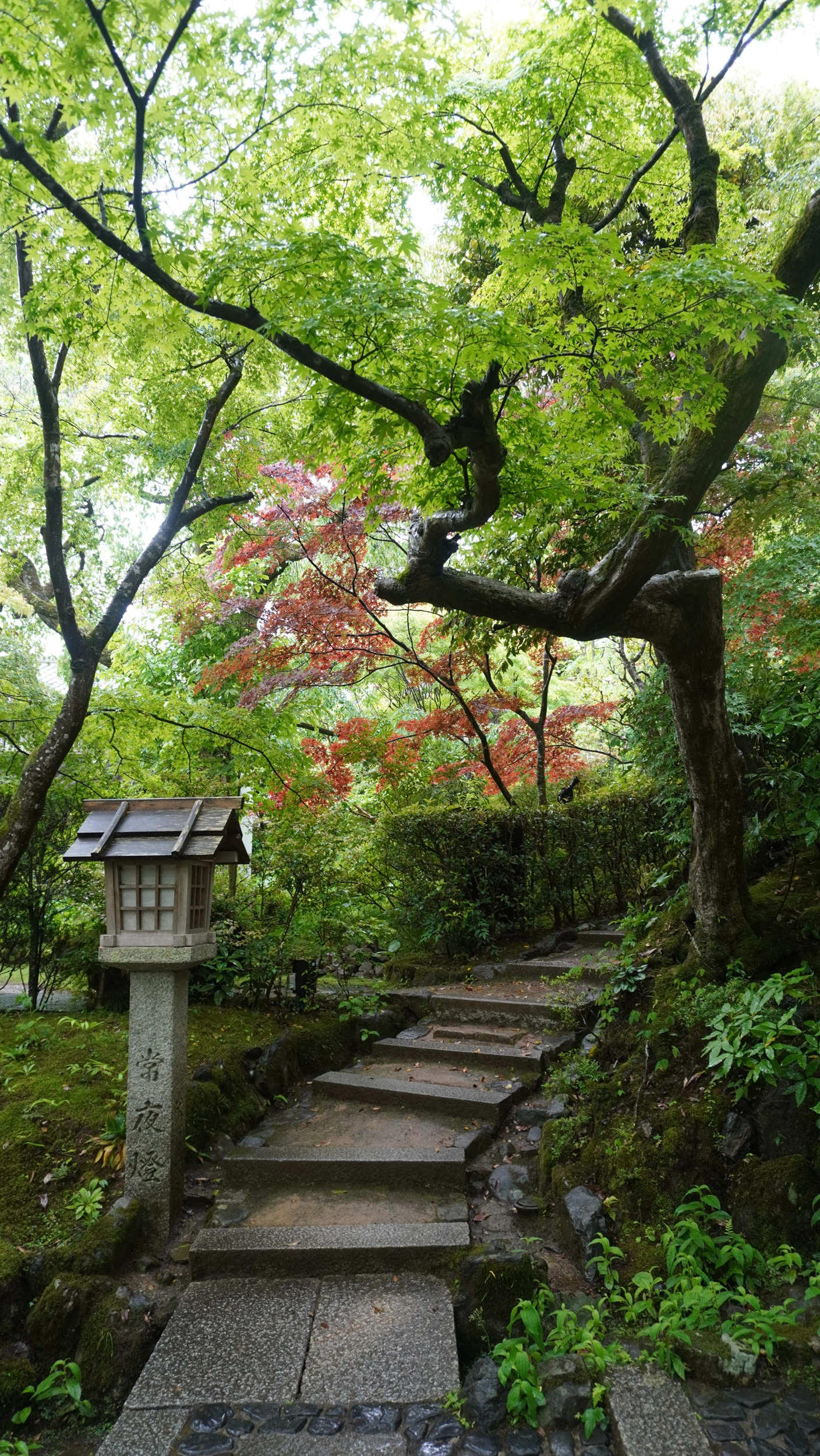 Foto Arashiyama