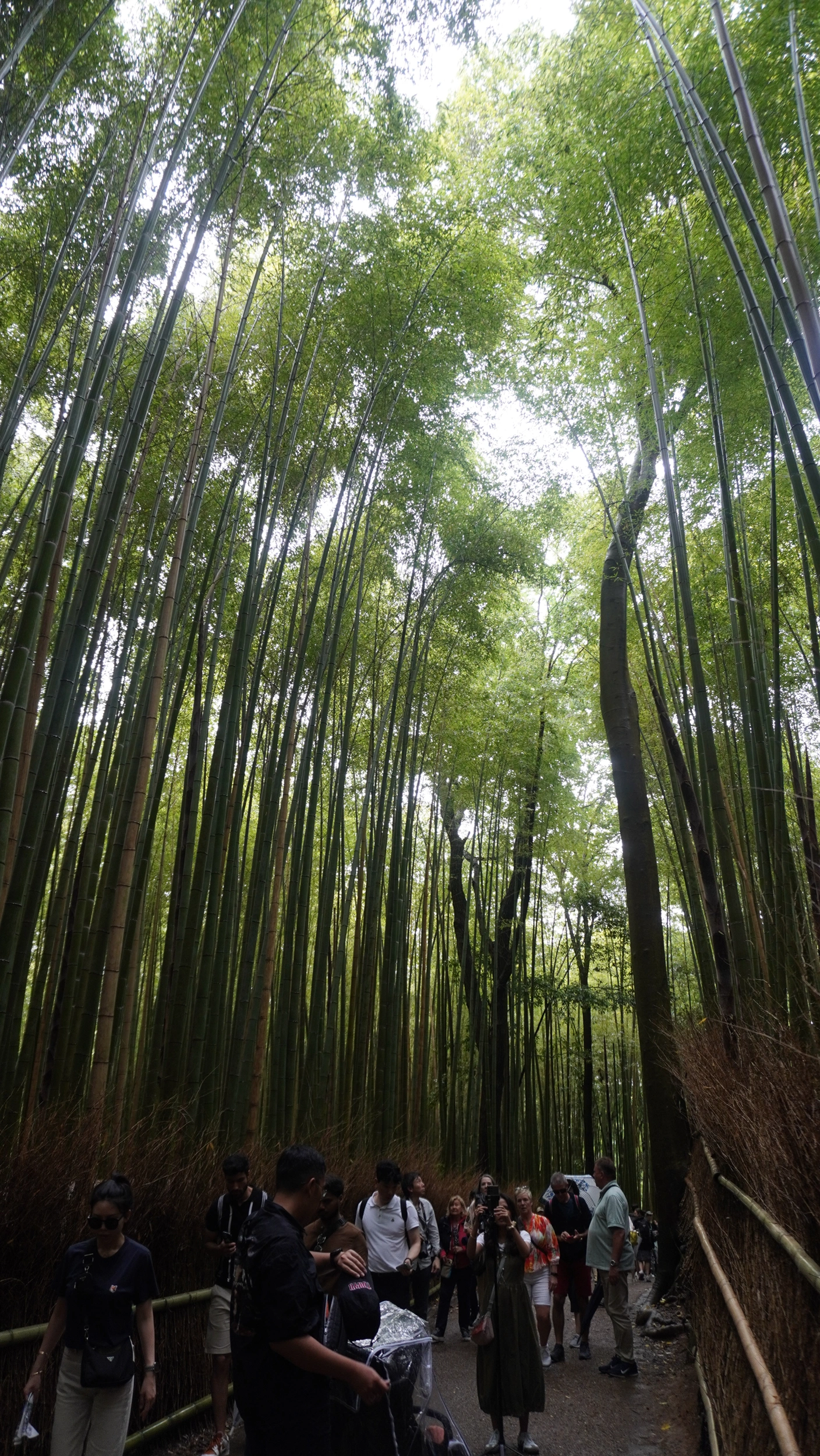 Foto Arashiyama