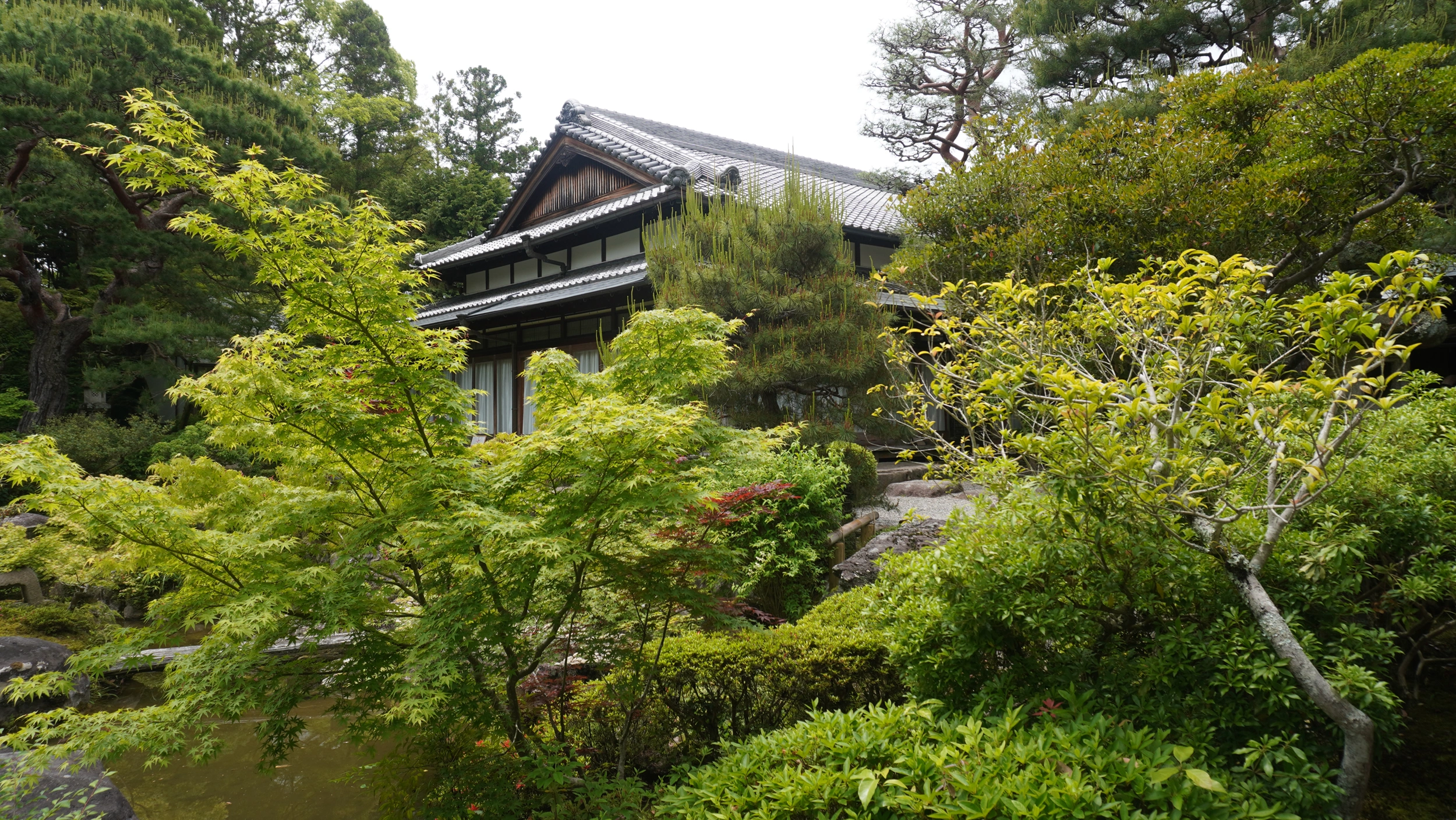 Foto Nara e Osaka