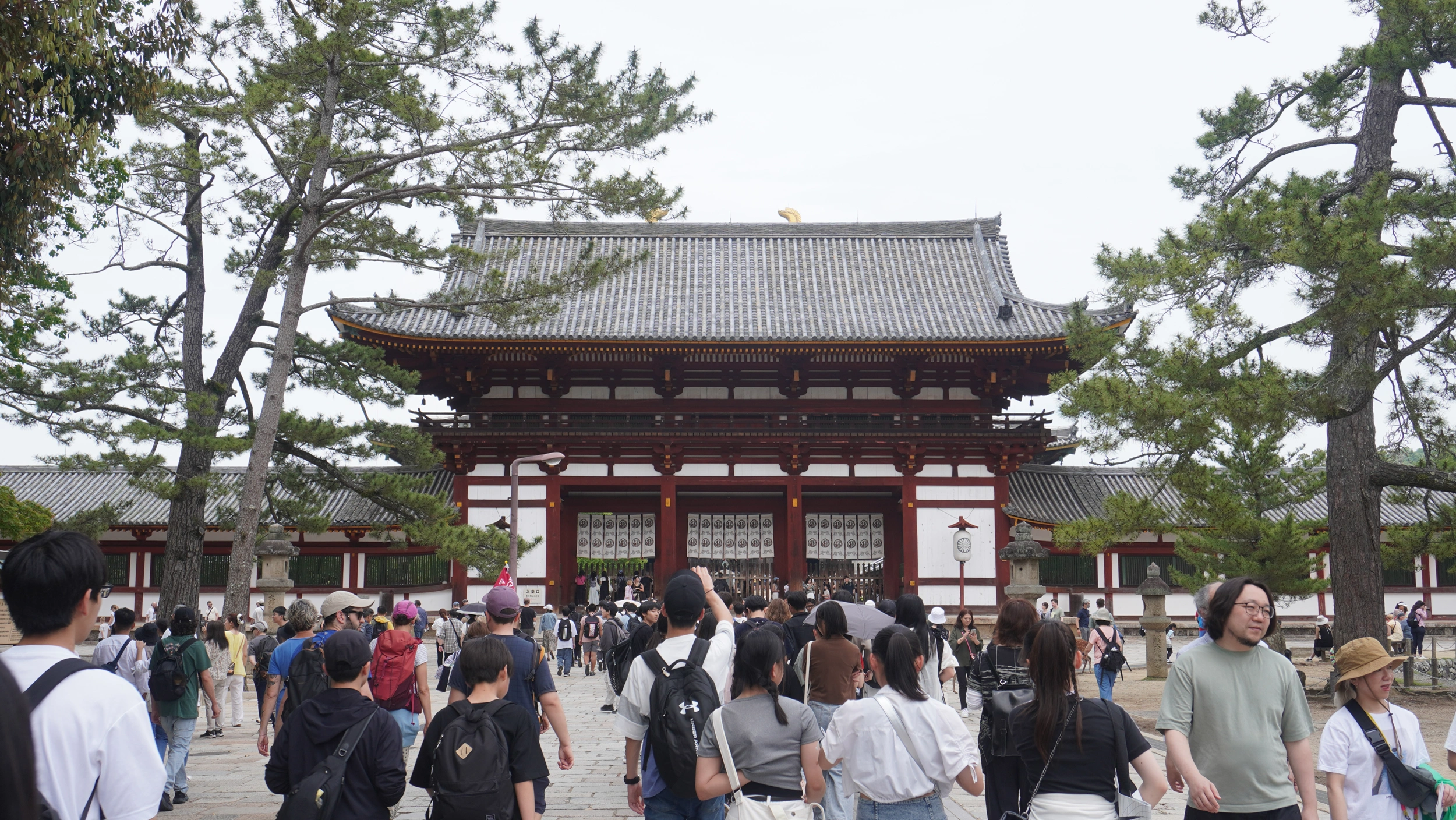 Foto Nara e Osaka