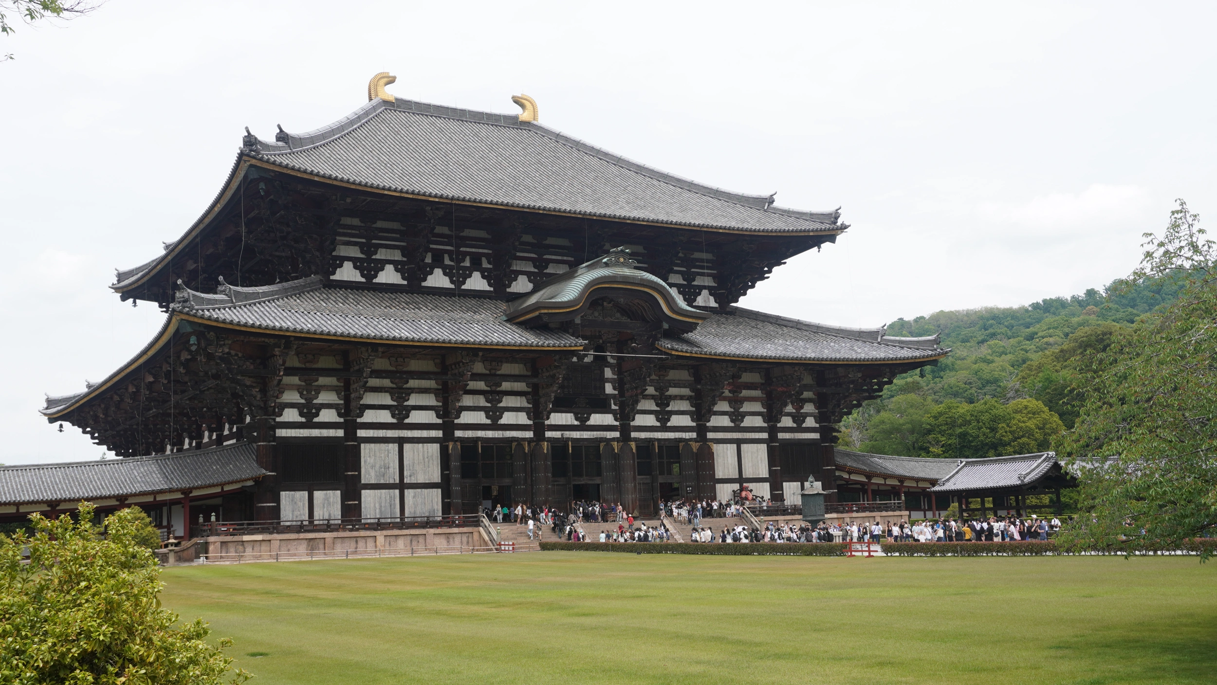 Foto Nara e Osaka