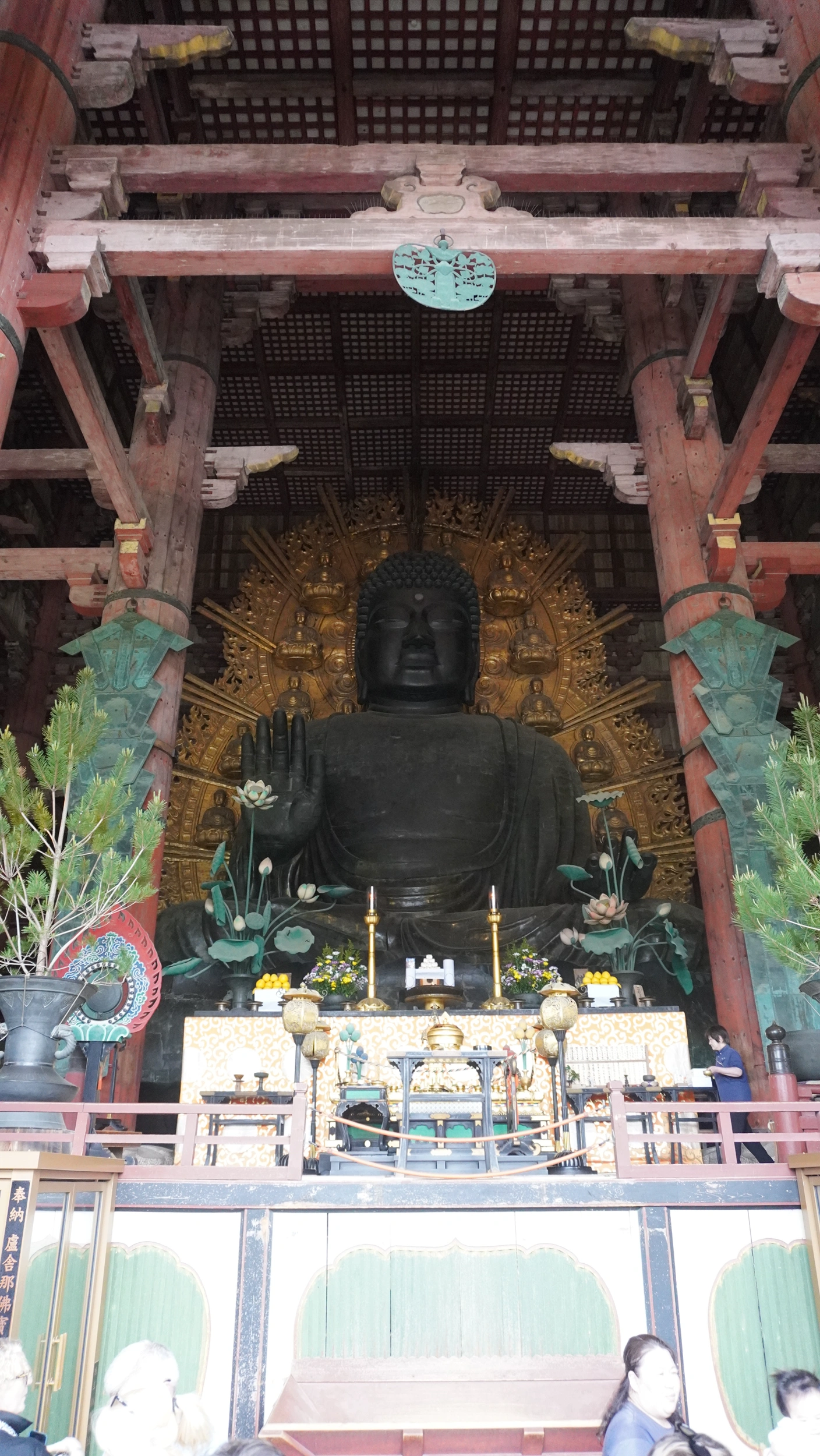 Foto Nara e Osaka