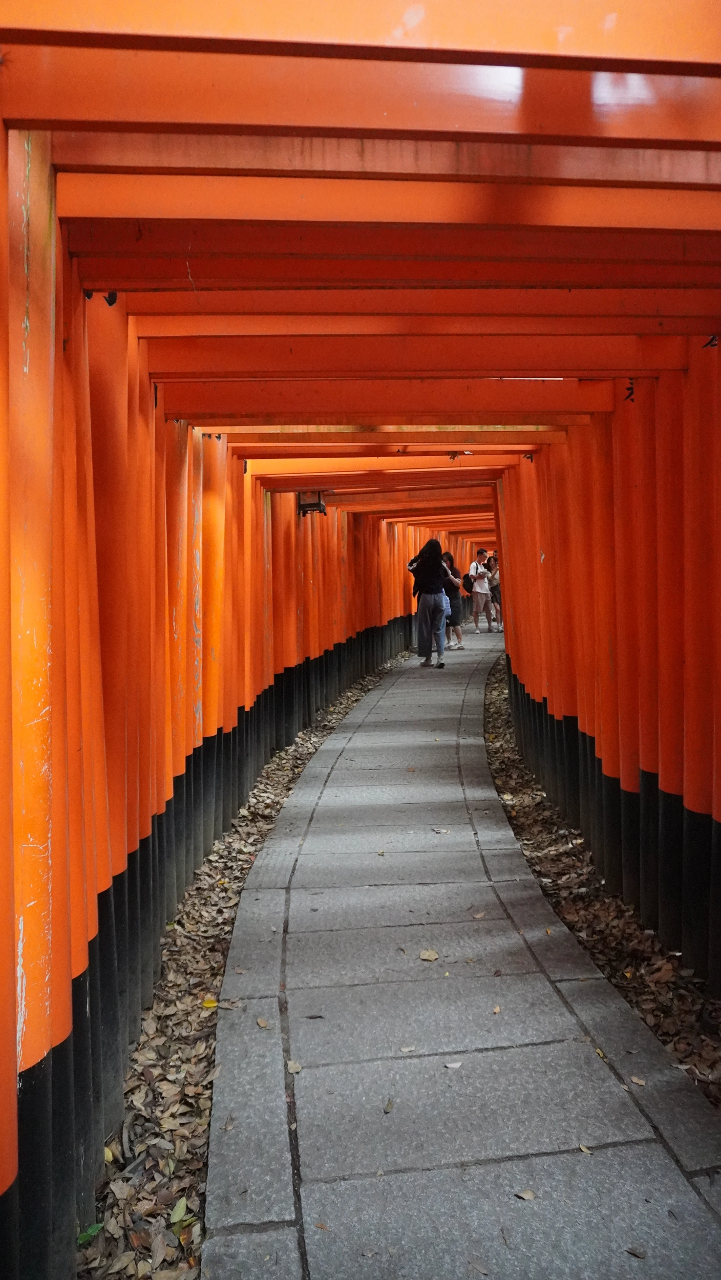 Foto Fushimi Inari