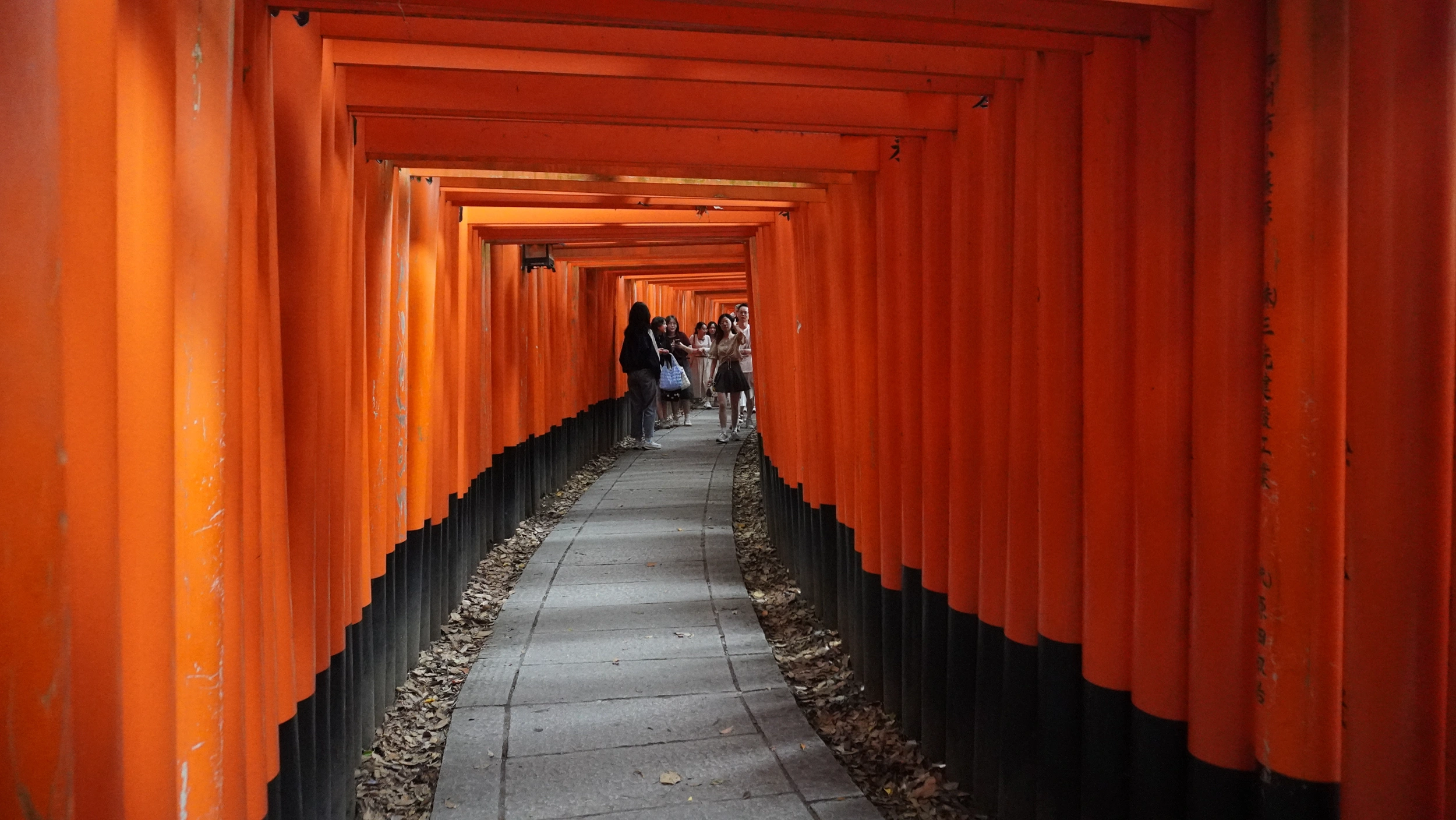 Foto Fushimi Inari