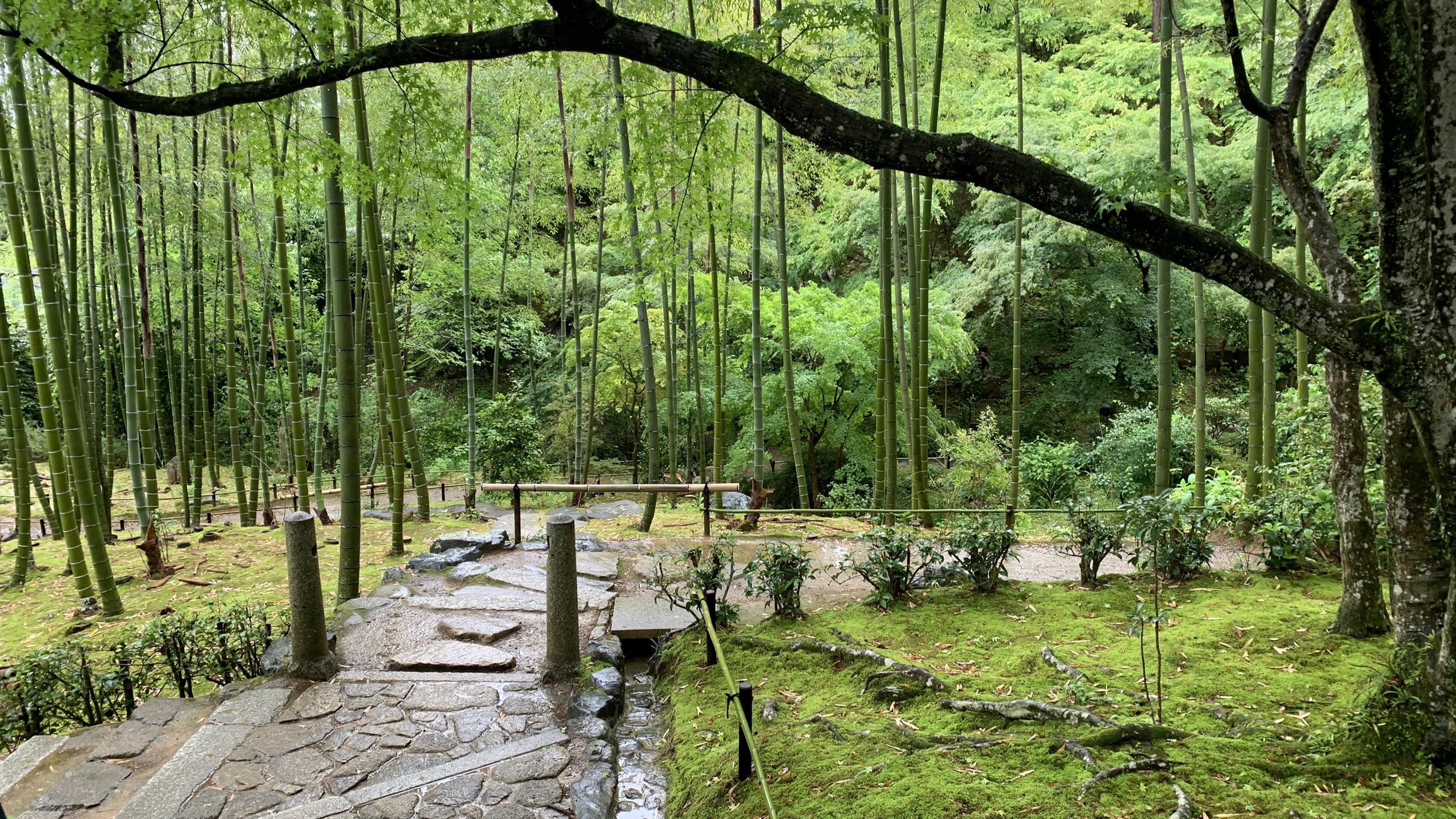 Foto Arashiyama