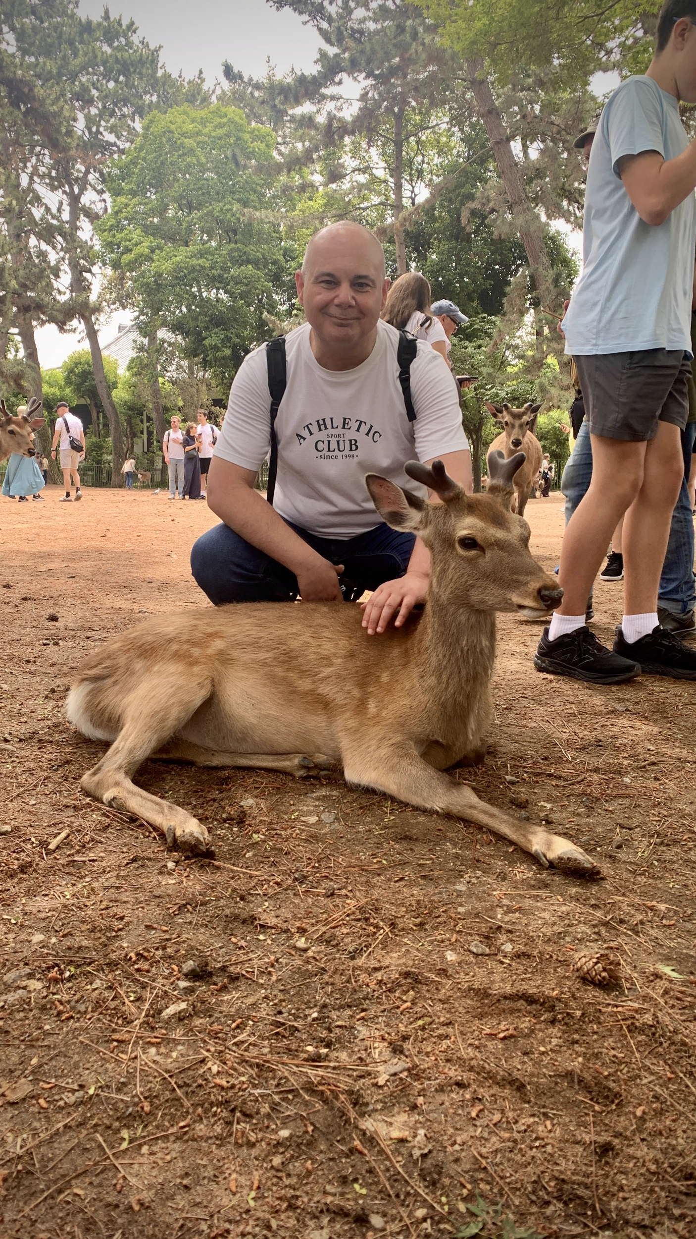 Foto Nara e Osaka