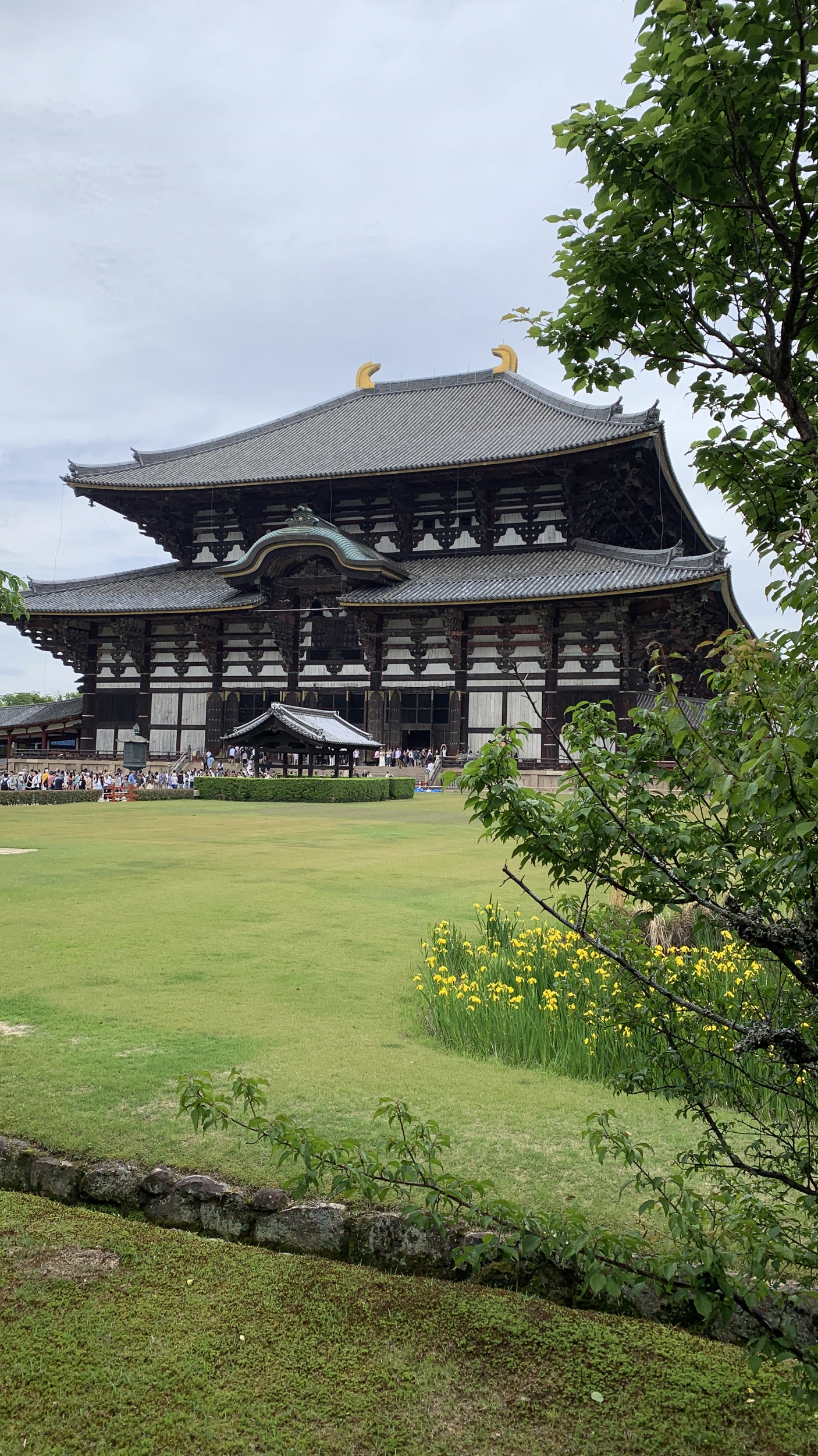 Foto Nara e Osaka