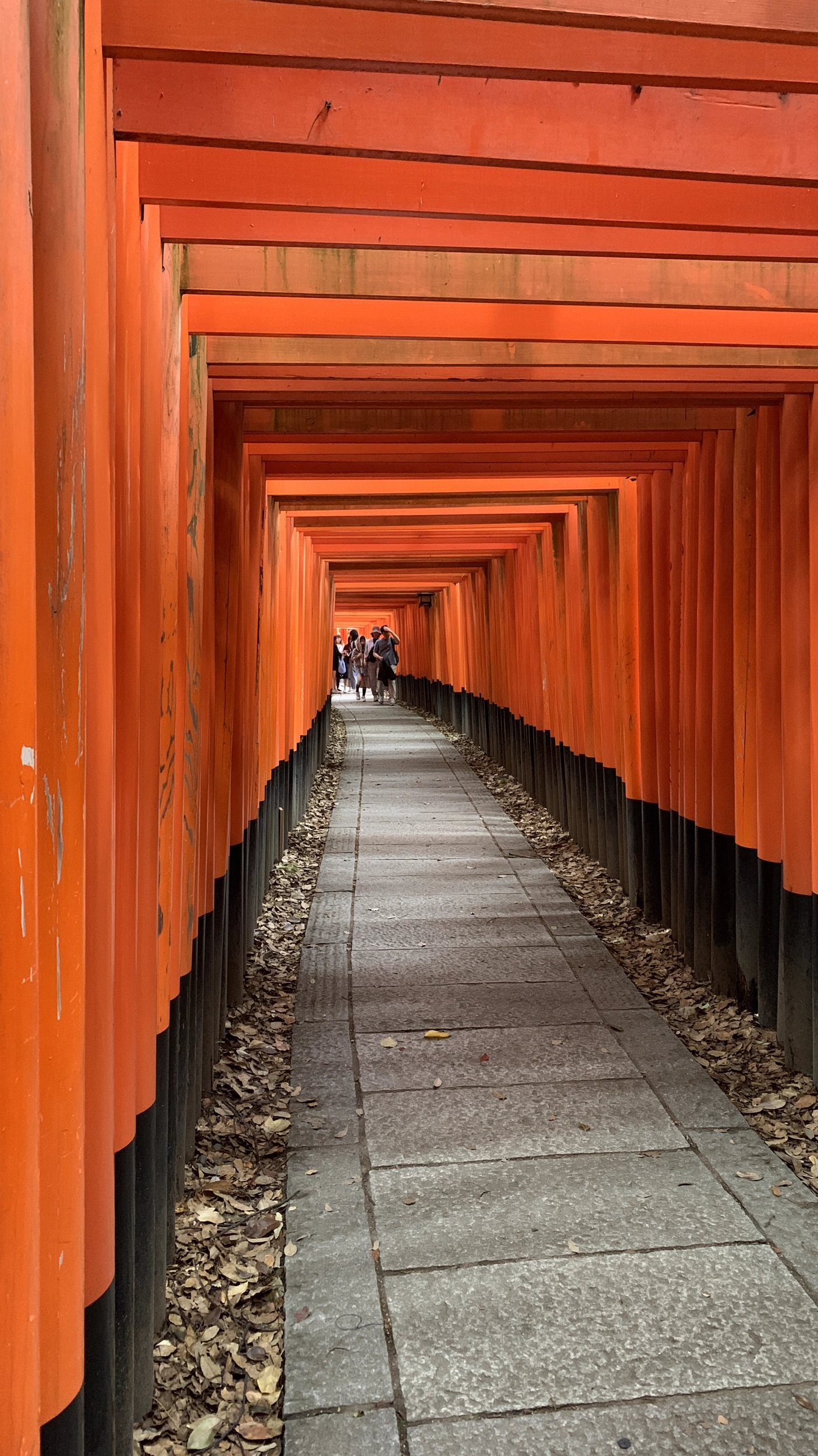 Foto Fushimi Inari