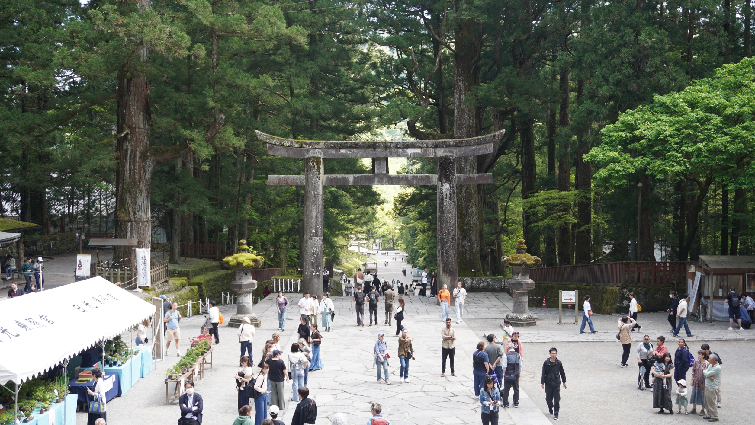 Foto Nikko