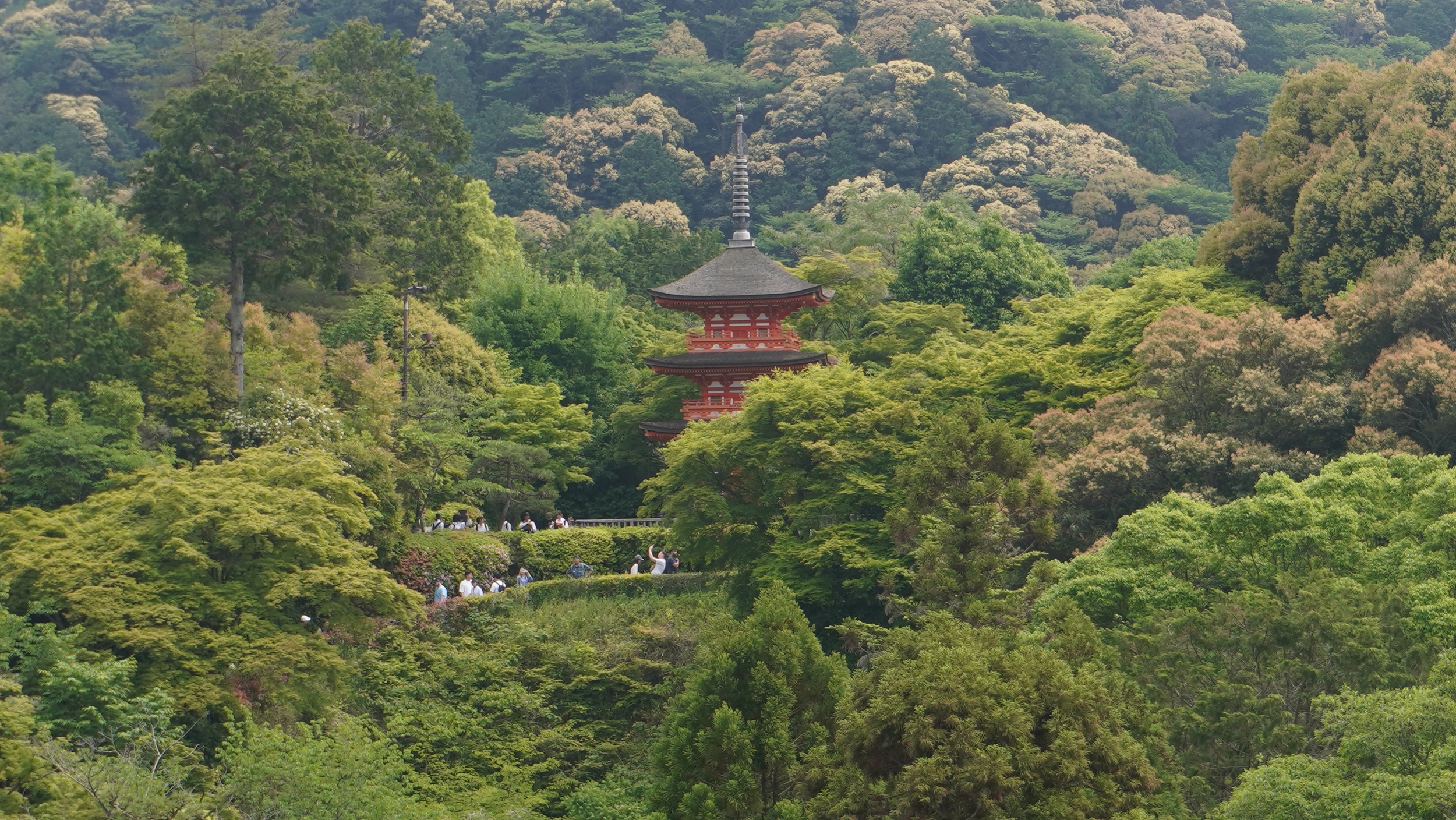 Foto Kyoto