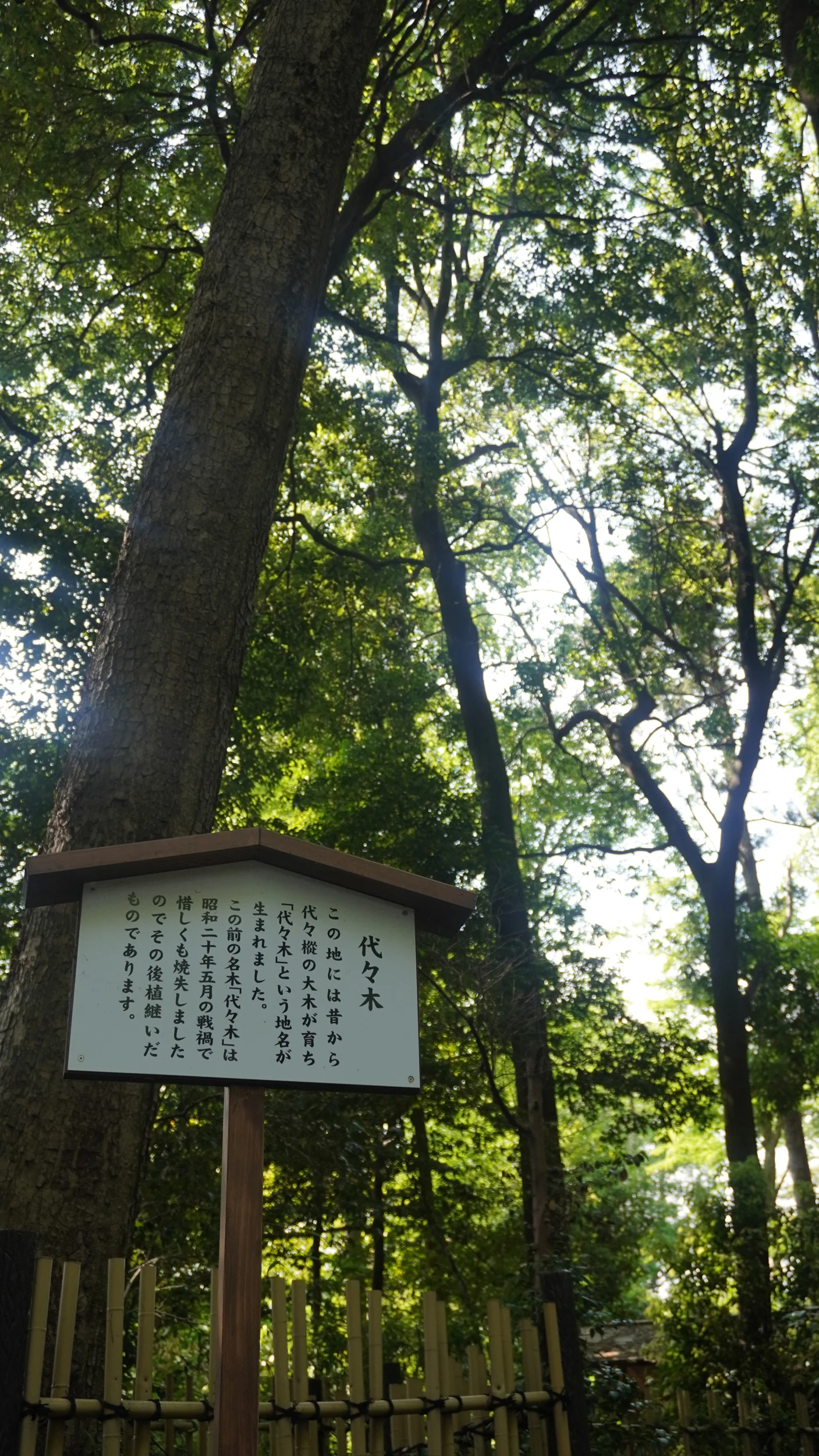 Foto Meiji Jingu, Shibuya e
                        Kabukichō