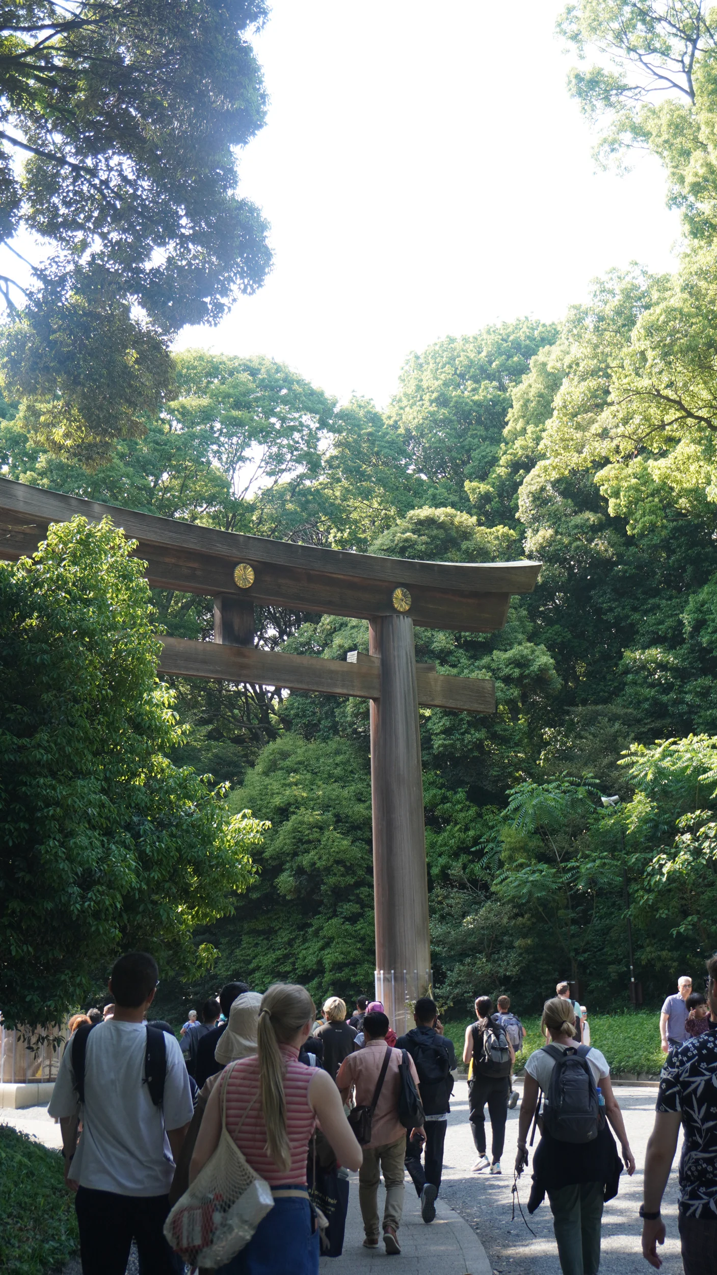 Foto Meiji Jingu, Shibuya e
                        Kabukichō