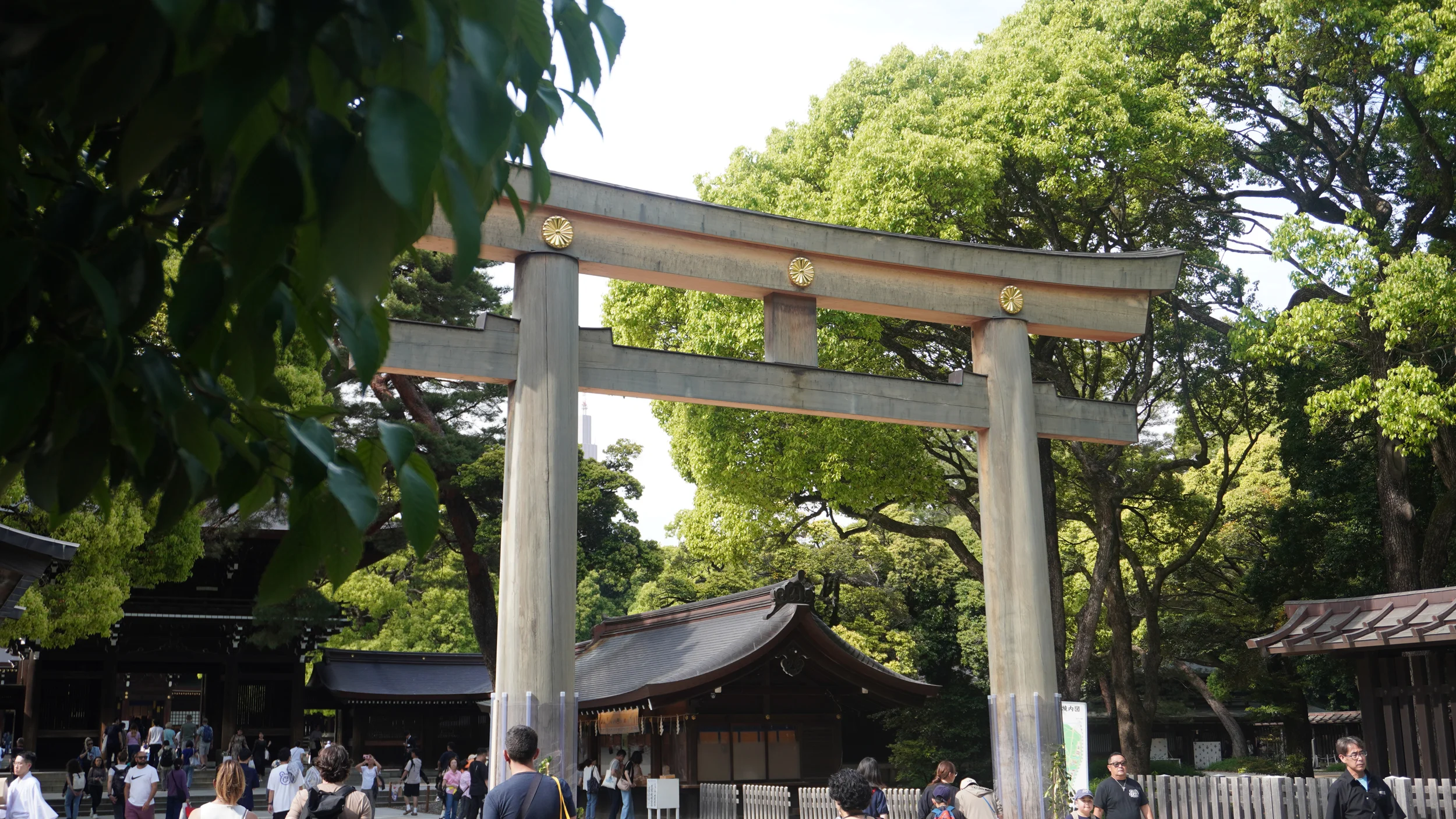 Foto Meiji Jingu, Shibuya e
                        Kabukichō