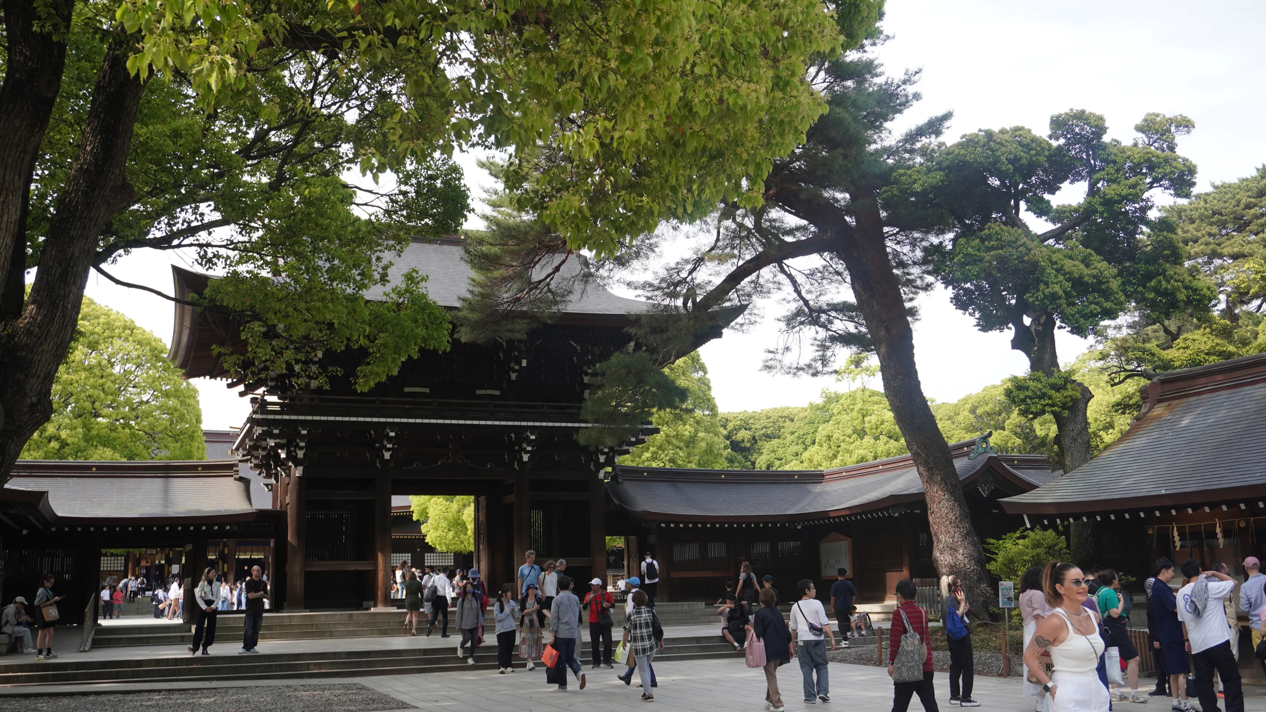 Foto Meiji Jingu, Shibuya e
                        Kabukichō